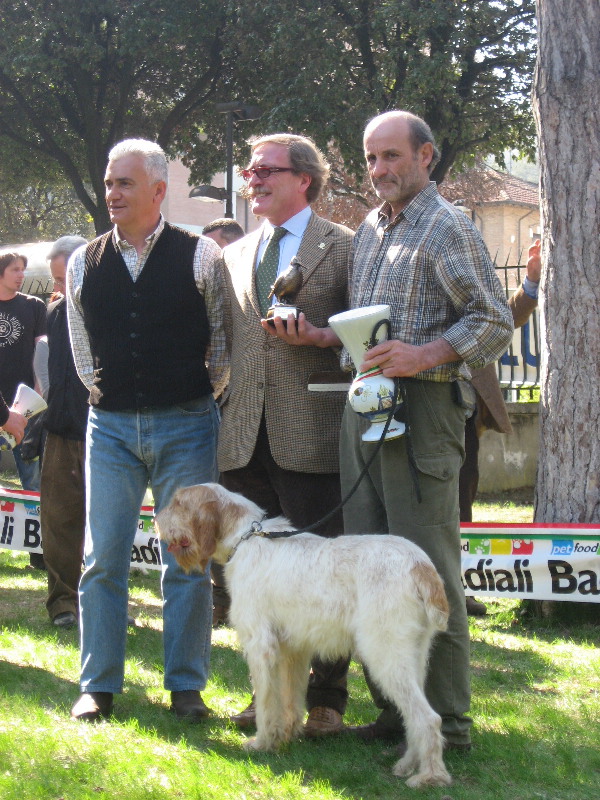 Manifestazione - Club Italiano Spinoni